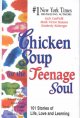 Chicken soup for the teenage soul II : 101 more stories of life, love and learning  Cover Image