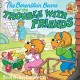 The Berenstain bears and the trouble with friends Cover Image